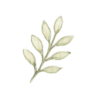 Tree branch icon